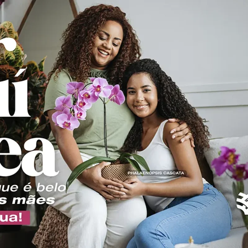portfolio-savana-publicidade-propaganda-campinas-offline-campanha-veiling-01